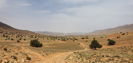 Motorcycling in Morocco: speed limits, fines, tolls and road rules for motorcycle travellers