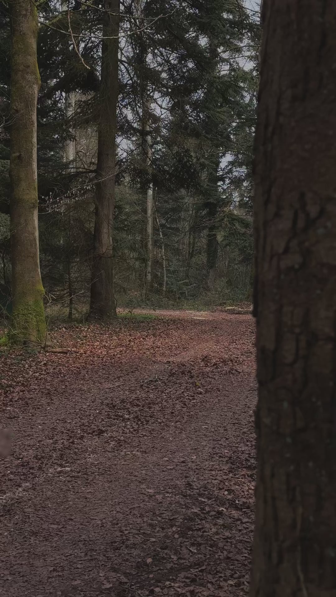 RTWR MTRS "Born To Be Tight" Oversized T-Shirt